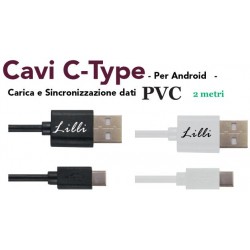 CAVO C -TYPE 2 METRI PVC
