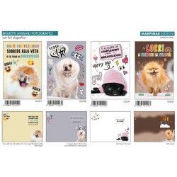 BIGLIETTI B.C. FOIL OLOGRAFICO