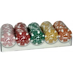 SET 100 CHIPS 14 g CON VALORI