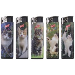 ACCENDINO PIEZO CATS