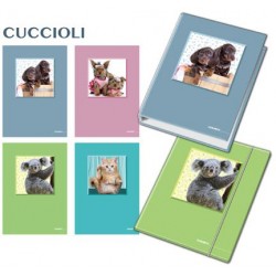 CARTELLE MAXI A4 030...