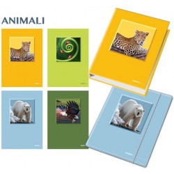 CARTELLE MAXI A4 030...